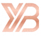 k1体育官方网站十年品牌值得信赖的蓝色与荧光绿组合logo